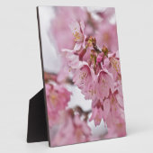 桜さくらんぼ花ピ淡い色のンク フォトプラーク (側面)