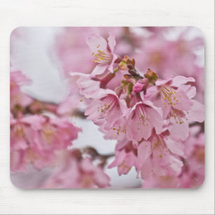 桜さくらんぼ花淡い色のピンク マウスパッド