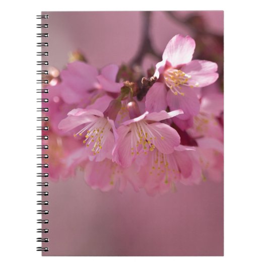 桜さくらんぼ花繊細なピンクブーケ ノートブック (正面)