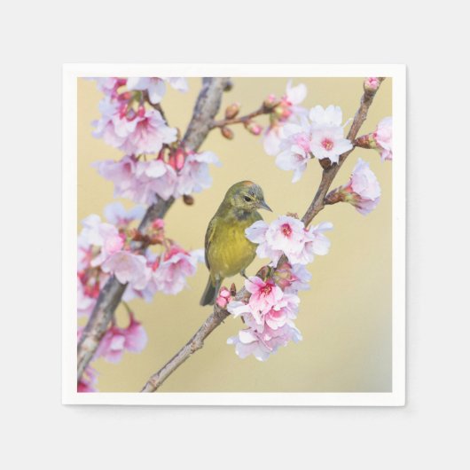 桜とウグイス スタンダードカクテルナプキン (正面)