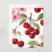 桜とチェリー シーズンカード (正面/裏面)