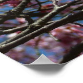 桜と青空の春の花 ポスター (角)
