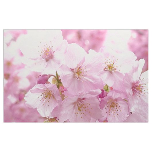 桜によっては裁縫の生地が開花します ファブリック (ファットクウォーター)