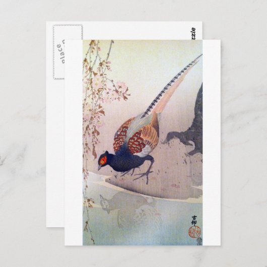 桜にキジ,古邨キジとさくらんぼの大原小村 ポストカード (正面/裏面)