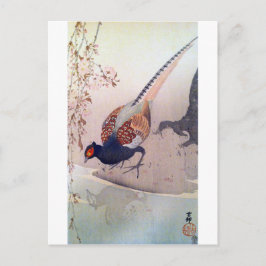 桜にキジ,古邨キジとさくらんぼの大原小村 ポストカード