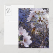 桜に近づく蜂、下から見る ポストカード (正面/裏面)