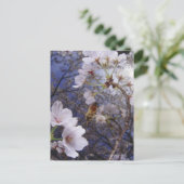 桜に近づく蜂、下から見る ポストカード (スタンド正面)