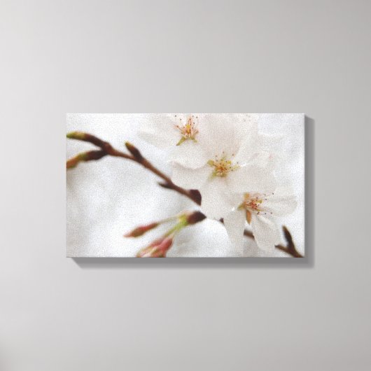 桜のキャンバスの芸術 キャンバスプリント (正面)