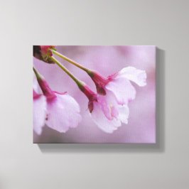 桜のキャンバスプリント キャンバスプリント
