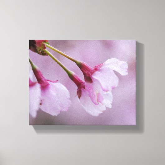 桜のキャンバスプリント キャンバスプリント (正面)