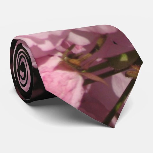 桜のタイ ネクタイ (ロール)