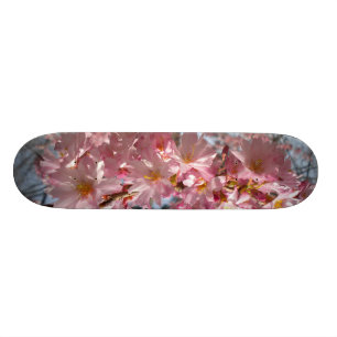 桜のデッキ スケートボード