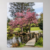桜のピンクの花と木造の小橋 ポスター (正面)