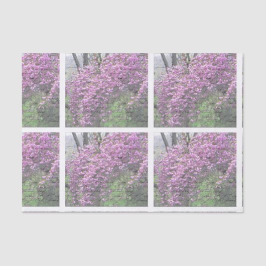 桜のフランスのな原稿Decoupage 薄葉紙 (正面)