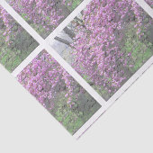 桜のフランスのな原稿Decoupage 薄葉紙 (詳細)