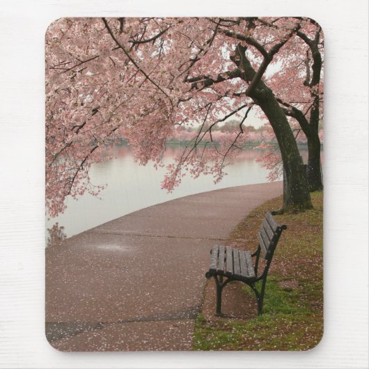 桜のマウスパッド マウスパッド (正面)