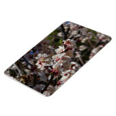 桜のマグネット マグネット (左側)