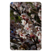 桜のマグネット マグネット (縦)