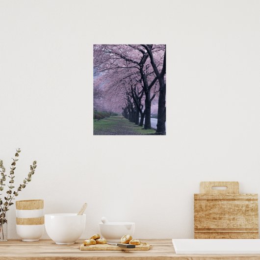 桜の並木 ポスター (キッチン)
