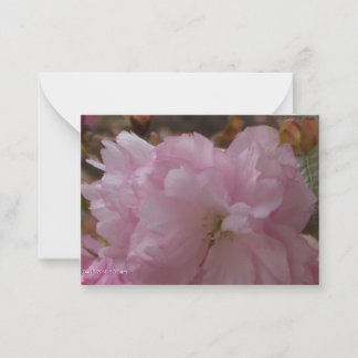 桜の共感カード ノートカード