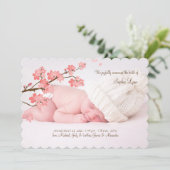 桜の写真の誕生の発表 案内状 (スタンド正面)