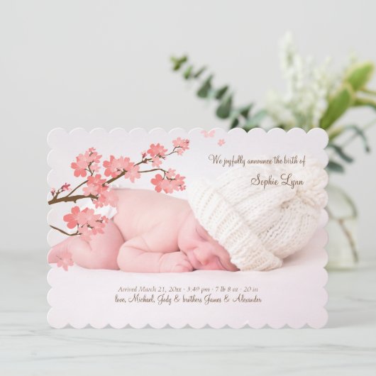 桜の写真の誕生の発表 案内状 (スタンド正面)