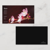 桜の名刺 名刺 (正面/裏面)