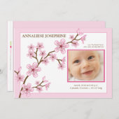 桜の女の子の誕生の発表: 明るいピンク 案内状 (正面/裏面)