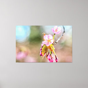 桜の小枝の先端に2本の春の花 キャンバスプリント