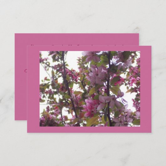 桜の招待状が付いている女性の昼食会 招待状 (正面/裏面)