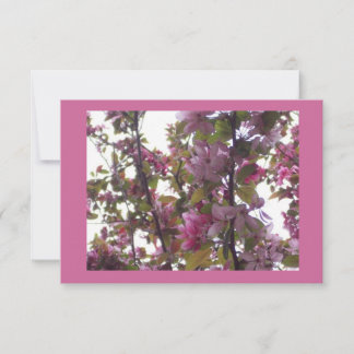 桜の招待状が付いている女性の昼食会 招待状