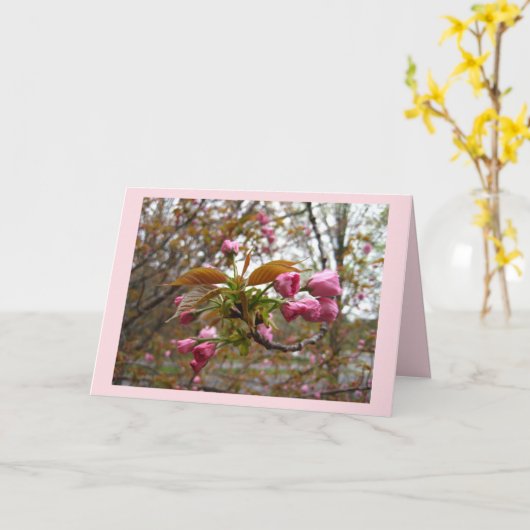 桜の挨拶状 カード (黄色い花)