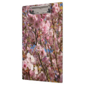 桜の明るい春の色 クリップボード (左)