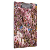 桜の明るい春の色 クリップボード (右)