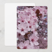 桜の木のピンクの桜の招待状 招待状 (正面/裏面)
