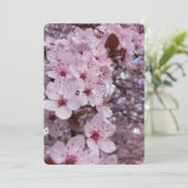 桜の木のピンクの桜の招待状 招待状 (スタンド正面)