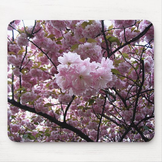 桜の木の写真 マウスパッド (正面)