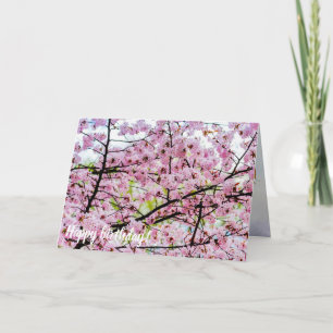 桜の木フルピンク開花の春 カード