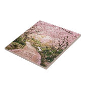 桜の木 タイル (側面)