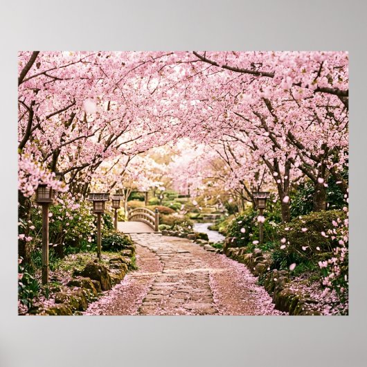 桜の木 ポスター (正面)