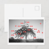 桜の木 ポストカード (正面/裏面)