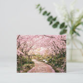 桜の木 ポストカード (スタンド正面)