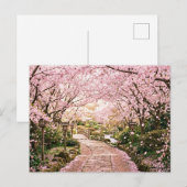 桜の木 ポストカード (正面/裏面)