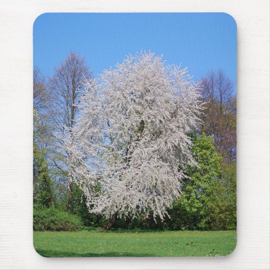 桜の木 マウスパッド (正面)