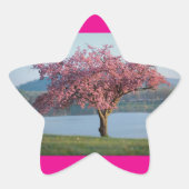 桜の木 星シール (正面)
