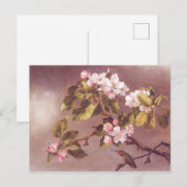 桜の枝 ポストカード (正面/裏面)