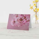 桜の淡いピンクの反射 カード (黄色い花)