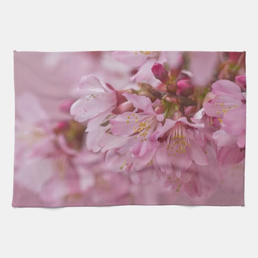 桜の淡いピンクの反射 キッチンタオル (横)