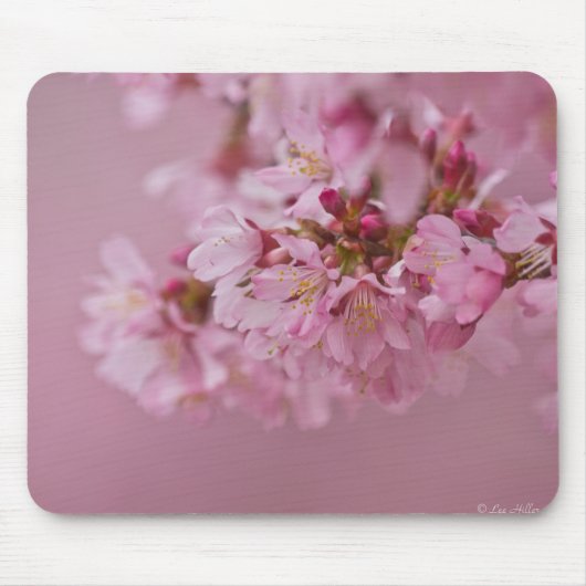 桜の淡いピンクの反射 マウスパッド (正面)