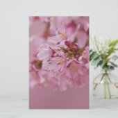 桜の淡いピンクの反射 便箋 (スタンド正面)